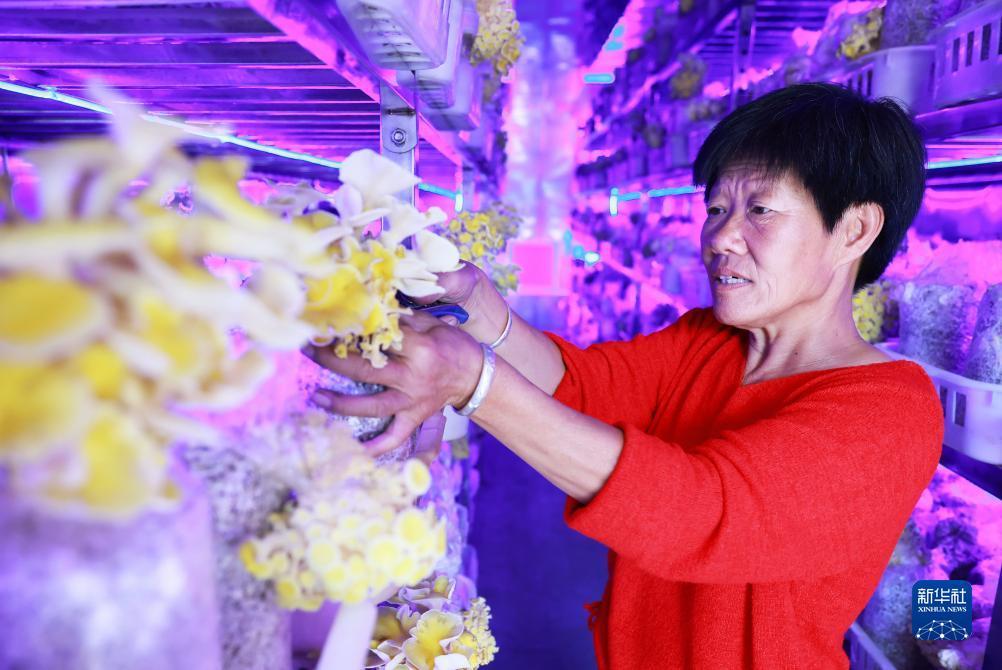万美娱乐登陆登陆